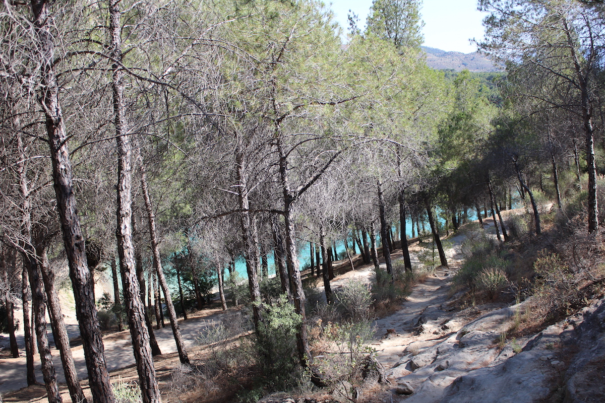 lac parc ardales espagne