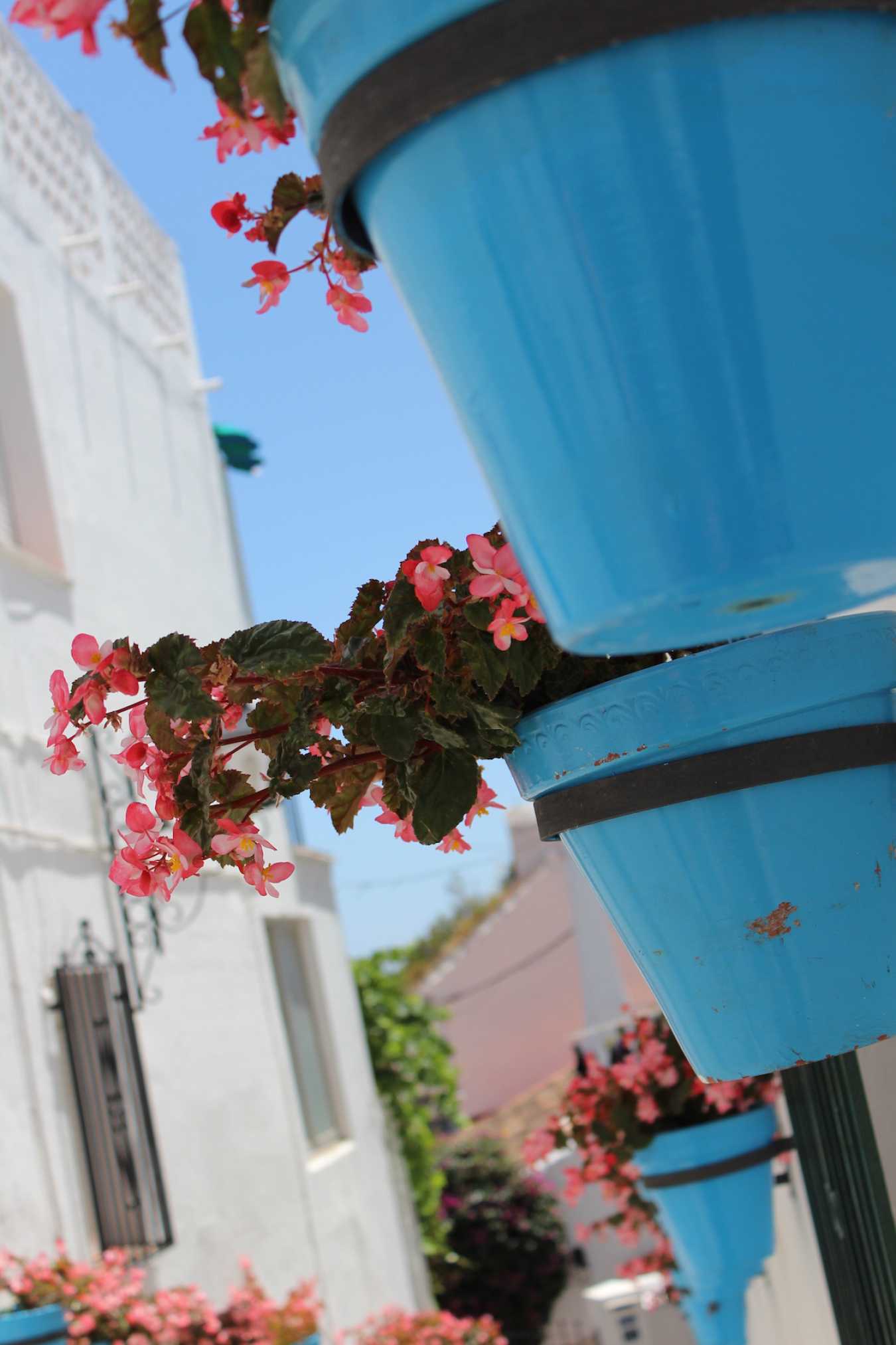 rue de mijas, espagne, andalousie, fleurs